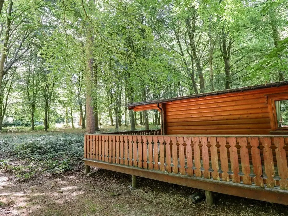 Bamboo Retreat