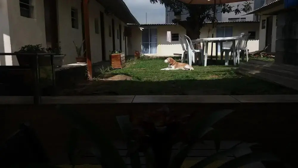 Casa Butantã USP Hostel/Guest House