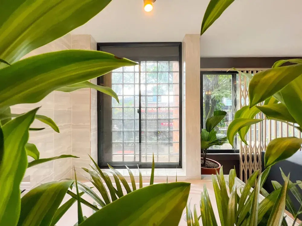 Mystic Luxury Lofts