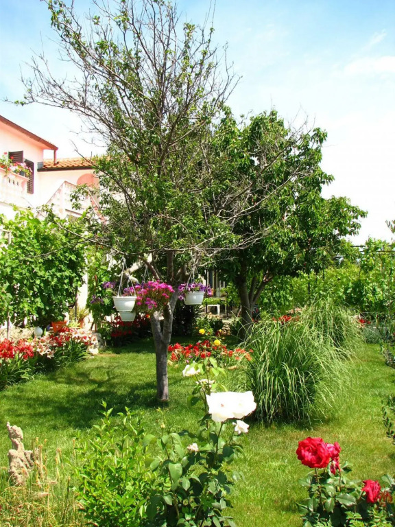Nika - Nice Garden - A4