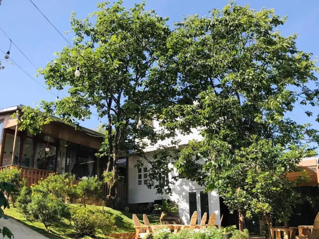 Books Homestay
