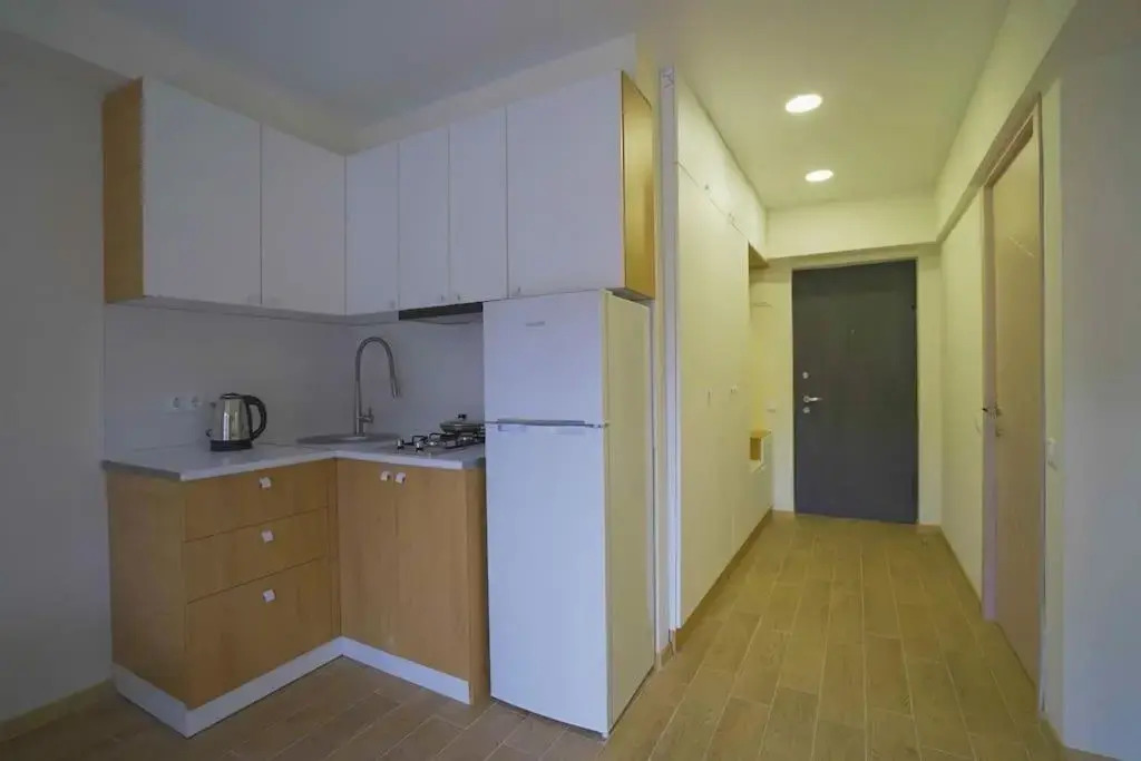 LEO GROUP Luxury Apartment 04-32 BAKURIANI INN