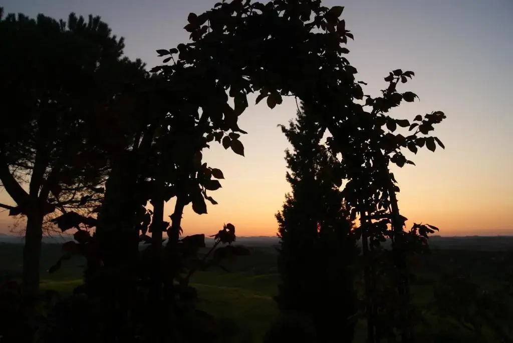 Tuscany Balcony: Crete Senesi