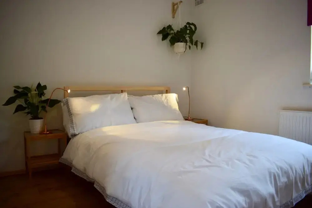 Dublin 2 Bedroom House With Garden