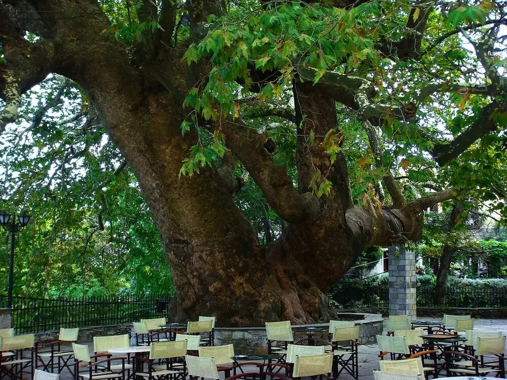 Kanari s House Pelion