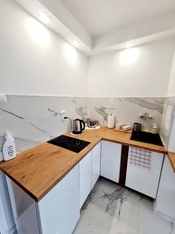 Apartament LAKE z widokiem na jezioro