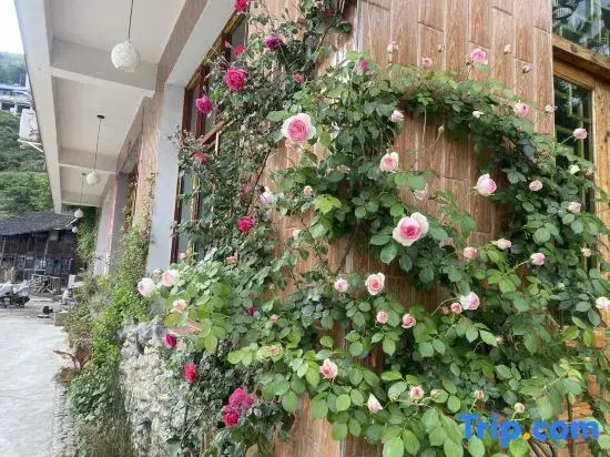 Yueziju Homestay