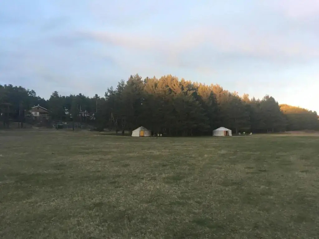 Les insolites de la bastide