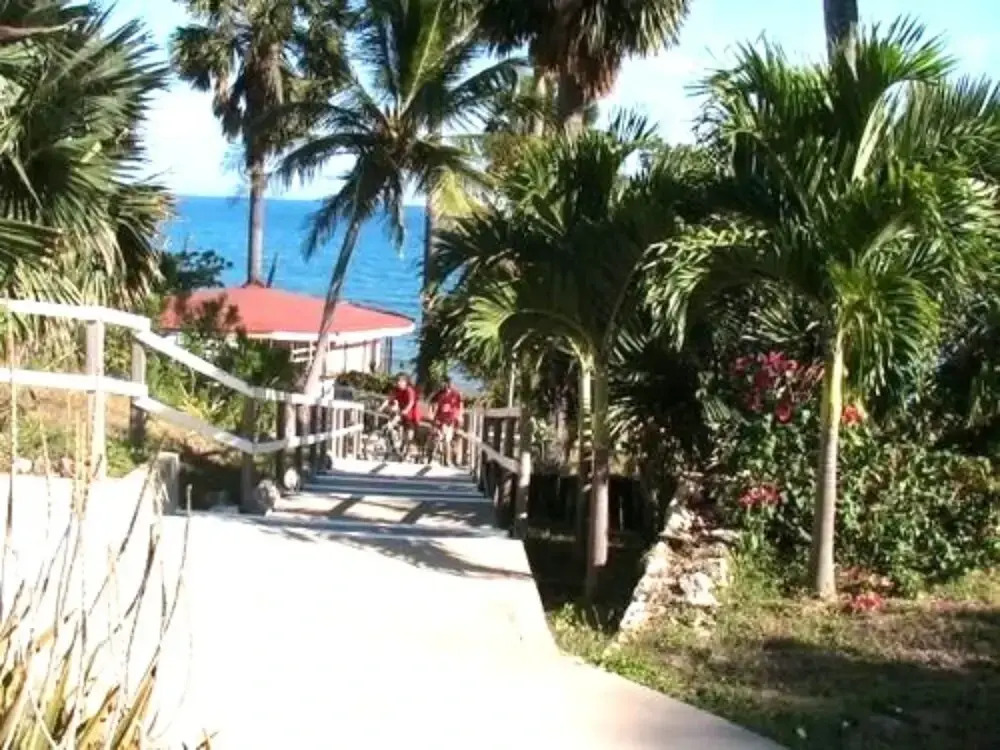 Treasure Beach Inn and Bar