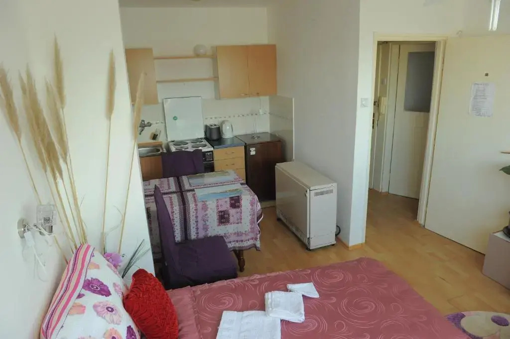 Apartment Daca Stan na dan