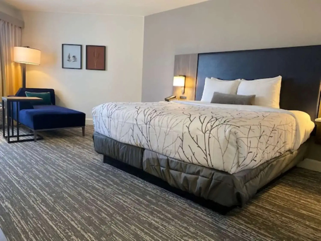 The Timbers An All Suite