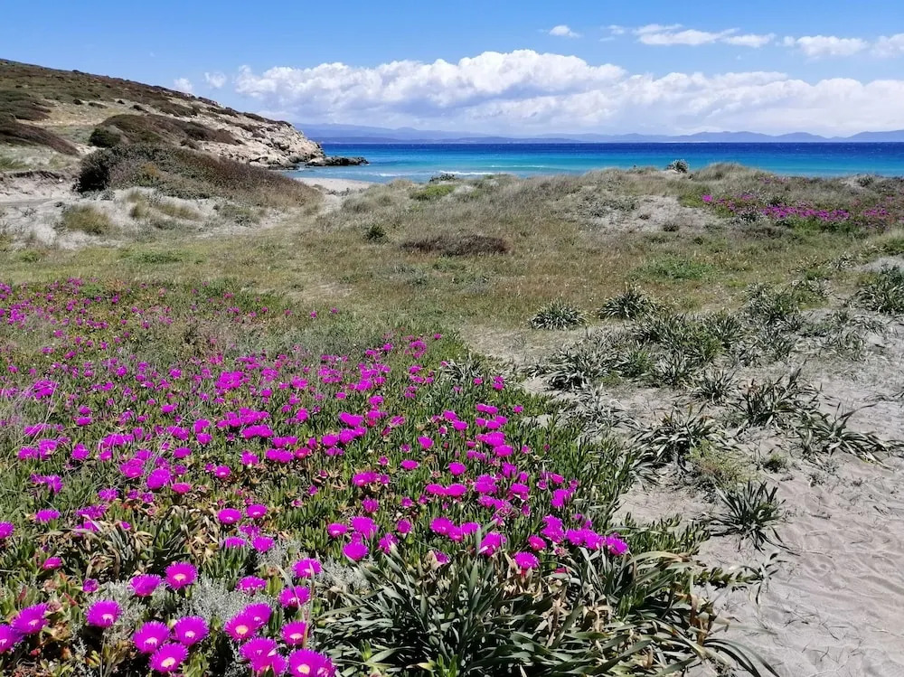B&B Glamping Semaforo Capo Sperone