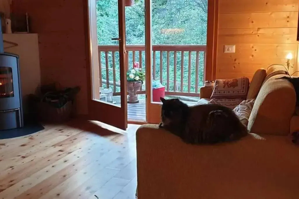 Chalet Masha e Orso sulle piste da sci Polsa di Brentonico