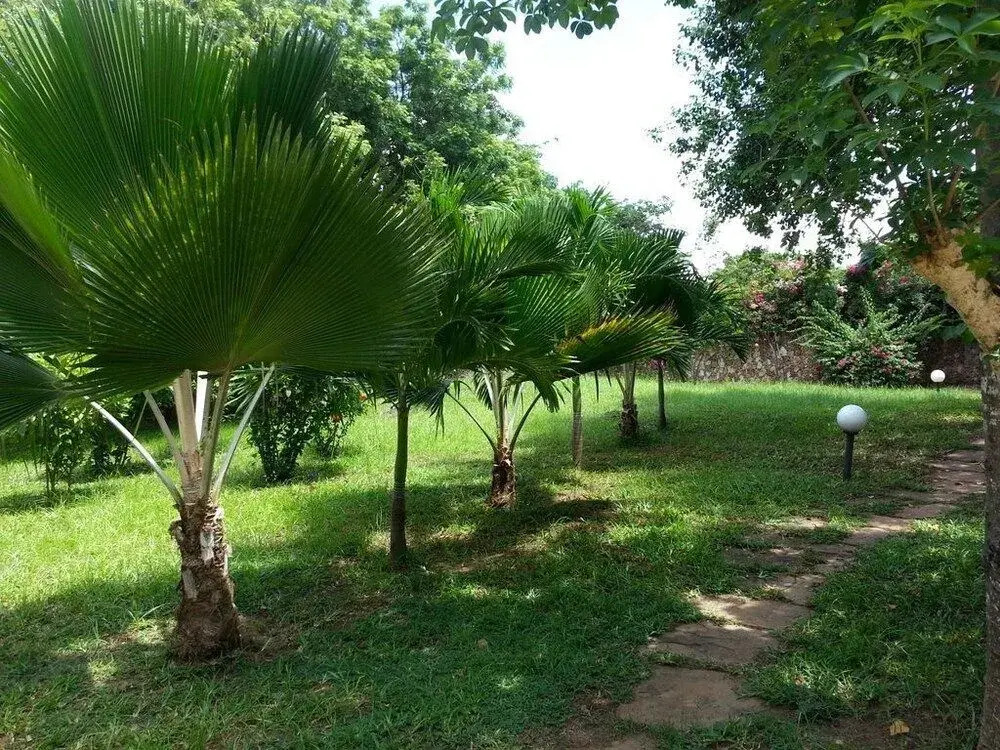 Holiday Homes Elicriso Malindi