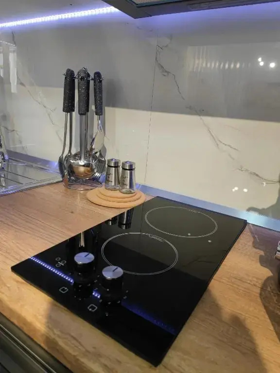 Fully equipped apartment in the city center with a lake view