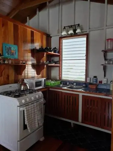 Carolyns Other House
