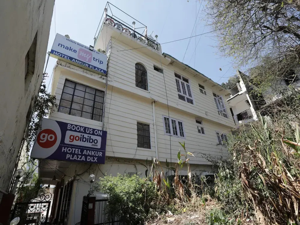 OYO 12542 Hotel Ankur Plaza