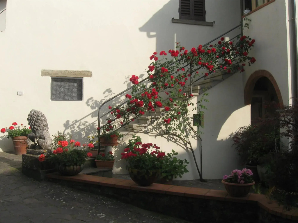 Affittacamere Casa Delle Rose