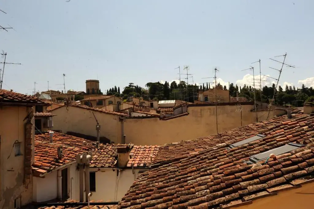 Acacia Firenze - Ciclamino