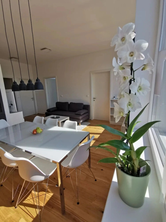 Apartments Egis Koper