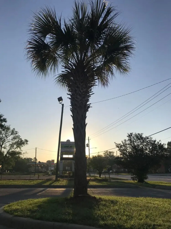 Days Inn Cheraw