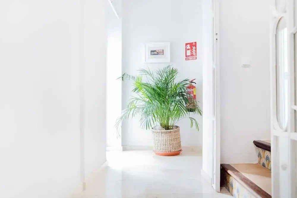 Apartmento 2º Izq. · Hispalis Casa Palacio Apartments