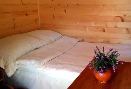 Guesthouse Planinski Dom Majerhold