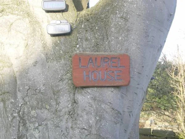 Laurel House