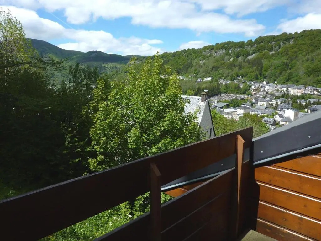 Appartement Mont-Dore, 2 pièces, 5 personnes - FR-1-608-51