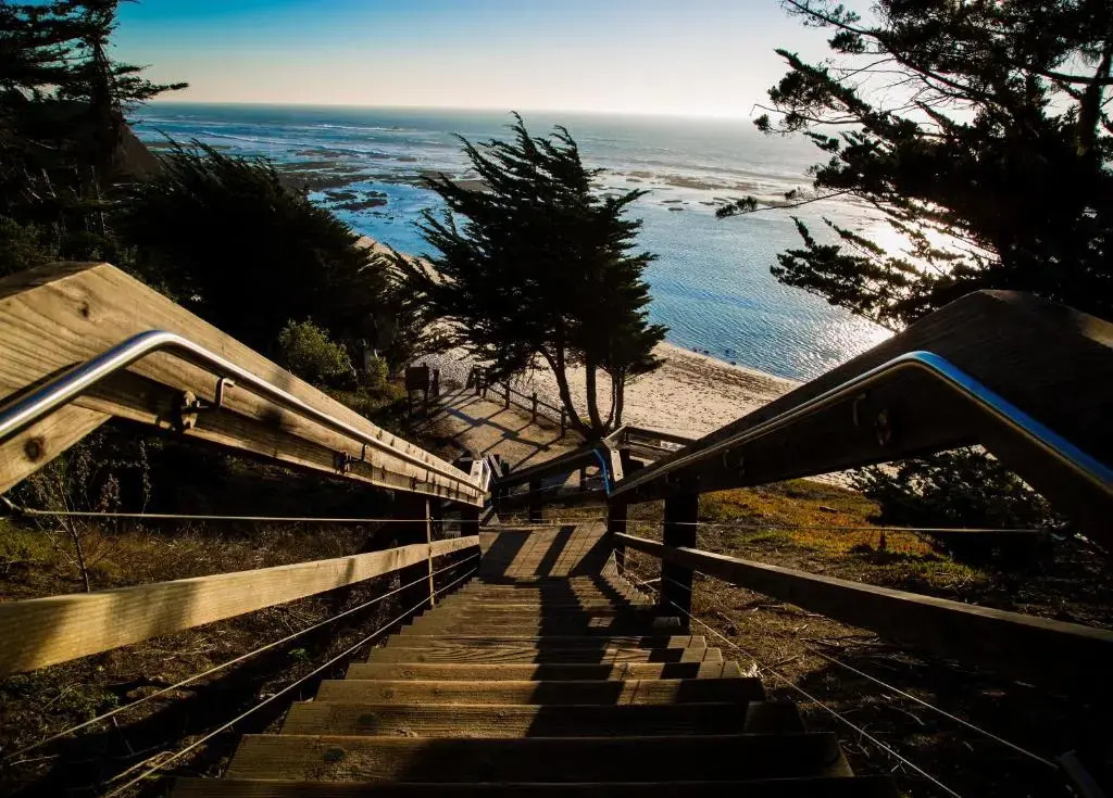 Seal Cove Inn