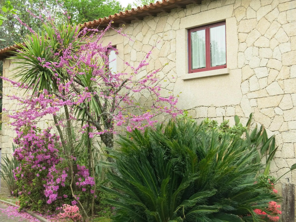 Casa Dos Tinocos