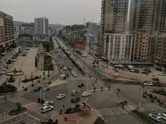Longchuan Wanlong Business Hotel