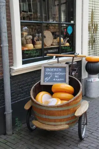 Hartje Haarlem B&B