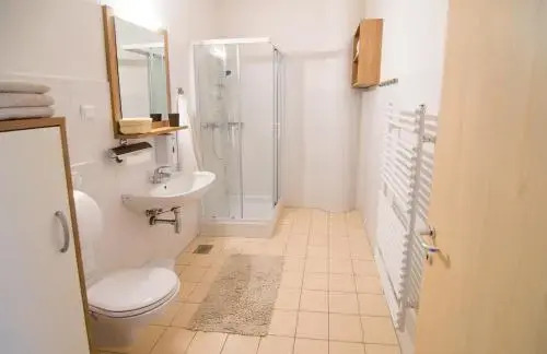 Apartma Planika
