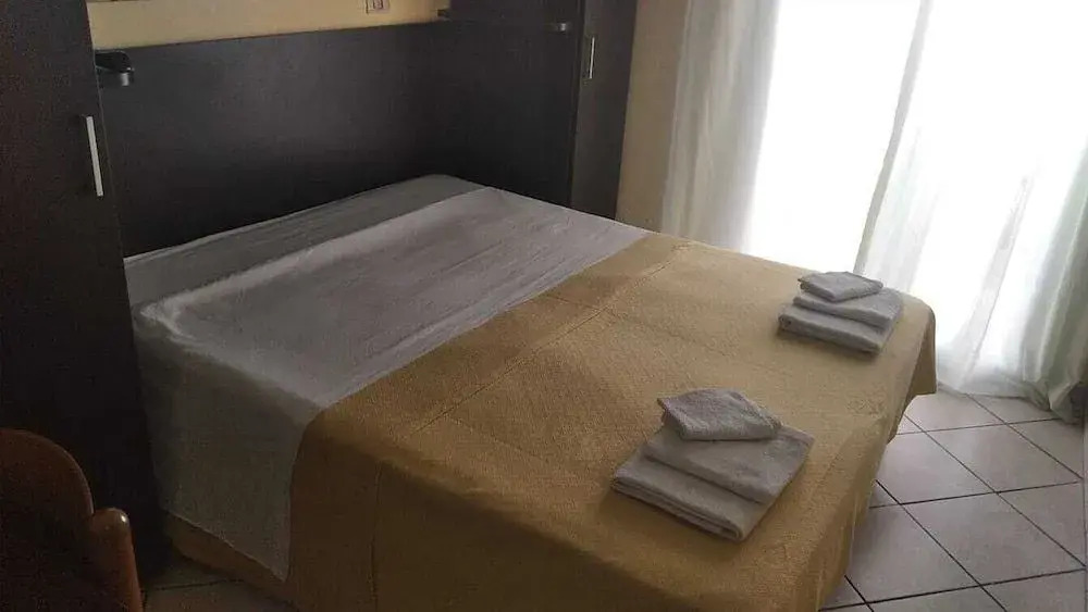 Hotel Saline