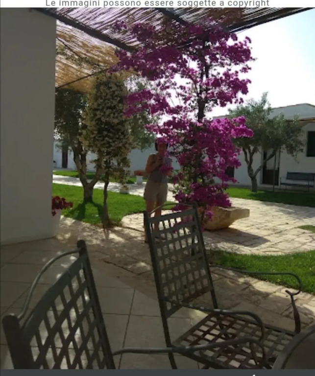 Stunning Quadruple Room in Ancient Masseria Near the sea in a Quiet Olive Trees