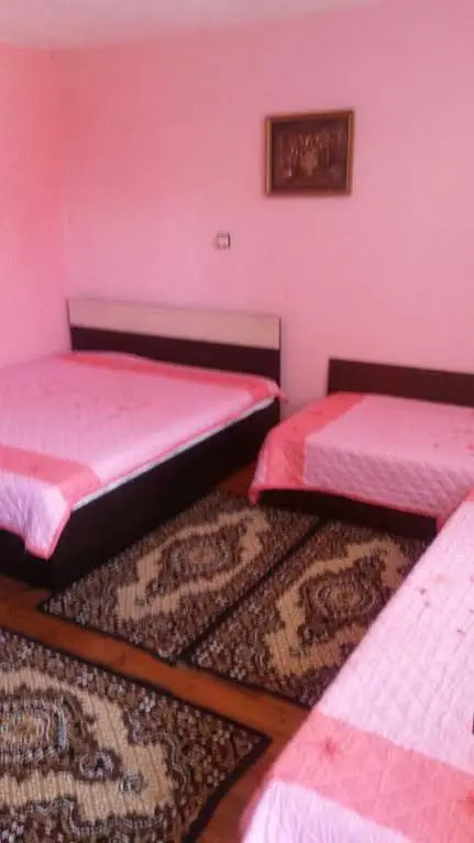 Elena Guest House