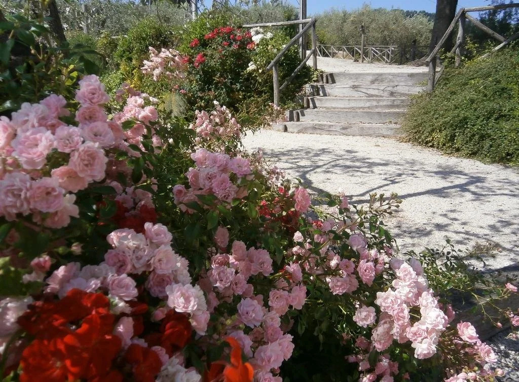 Tenuta Colverano