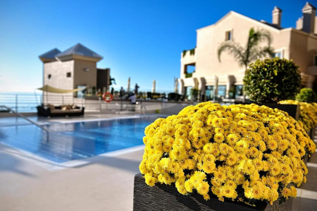 Aleysa Playa Aparthotel