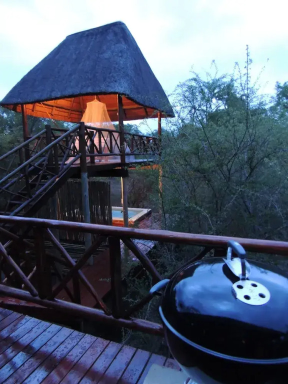 Lion Tree Bush Lodge