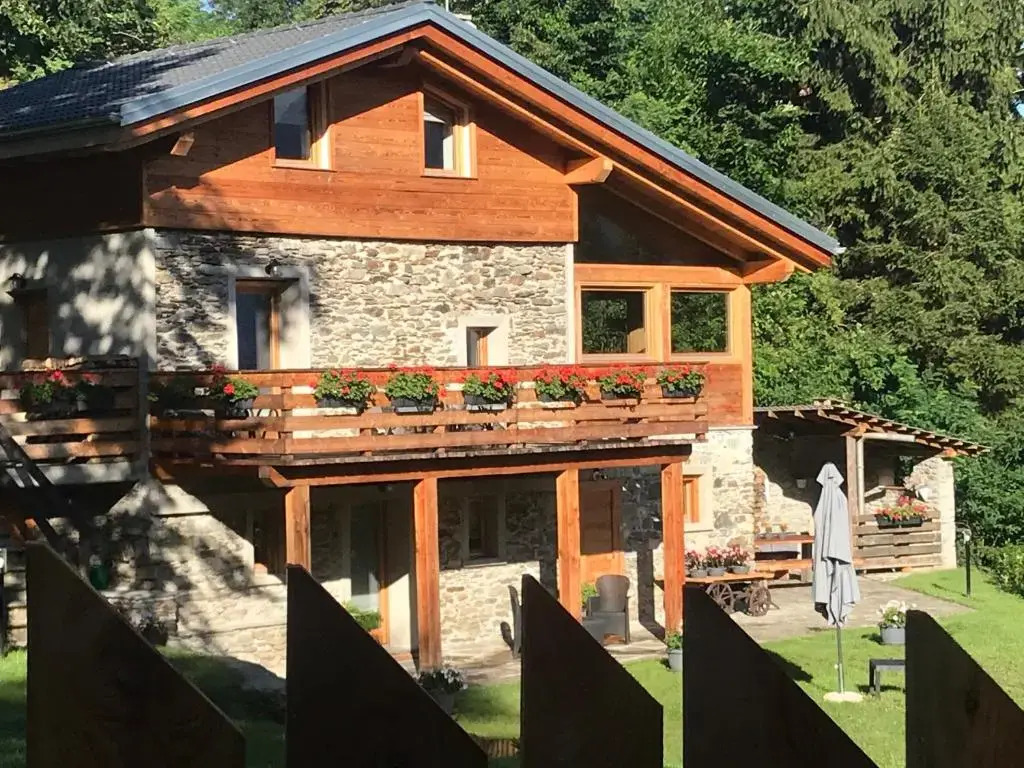 Cozy Nature House