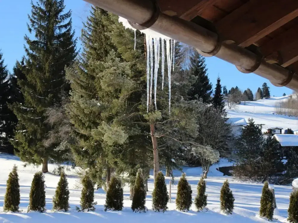 Hochgrat View in Steibis, Haus Akelei