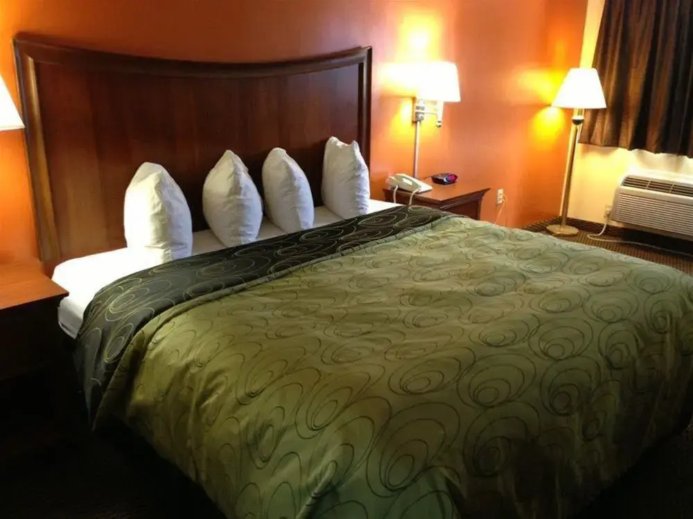 Rodeway Inn Baxley