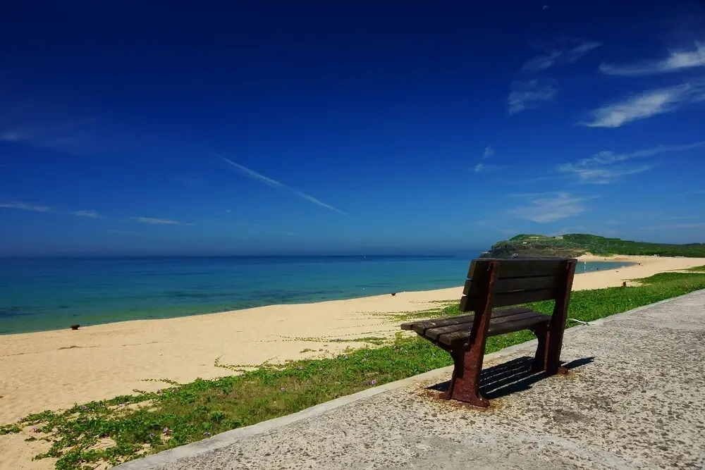 Landscape Coast