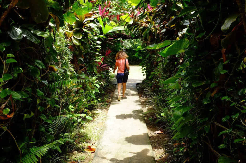 La Palapa Ecolodge