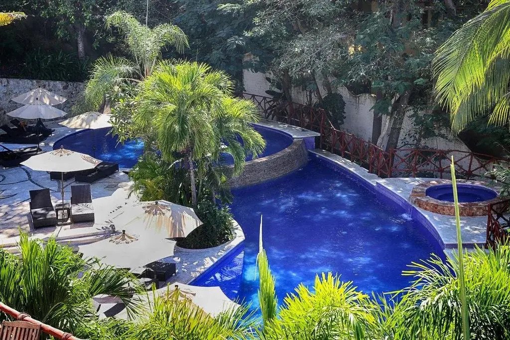 Pajaro de Fuego, Chelsea's Luxury Units