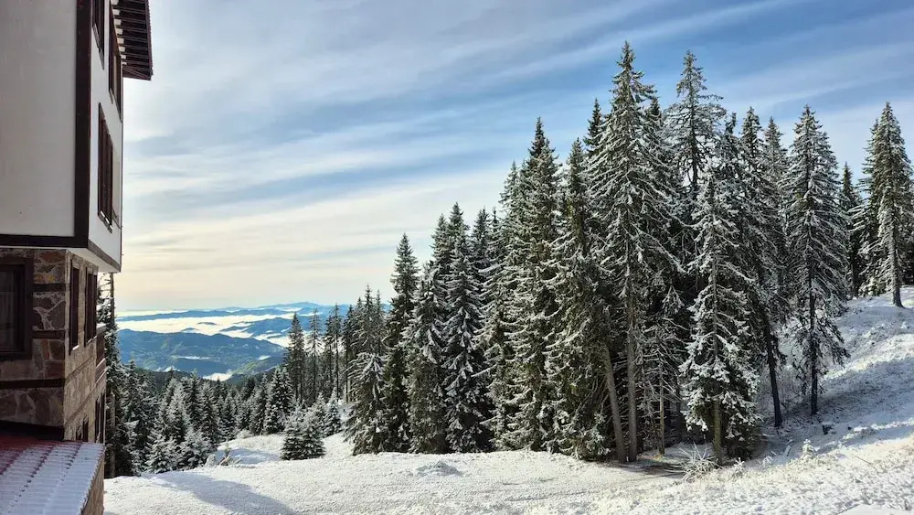 Tulip Apartment High-end, Grand Resort Pamporovo