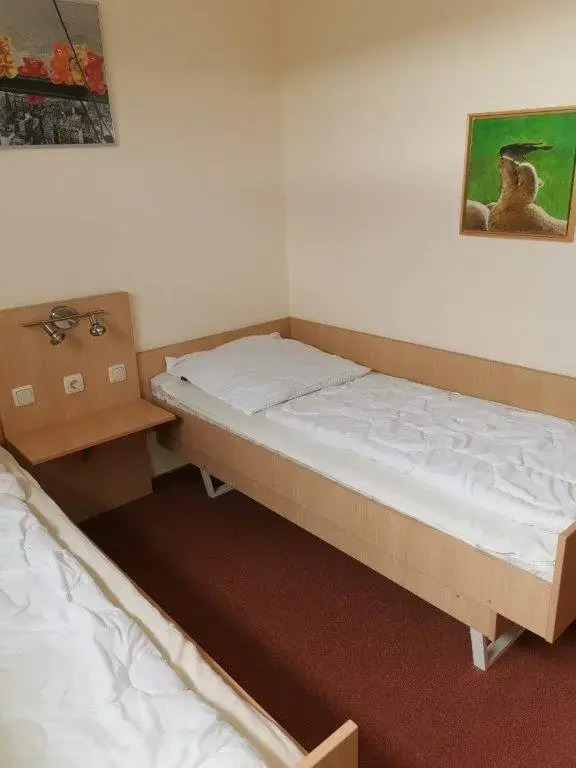 Ferienwohnung Harz Hohegeiß App 569