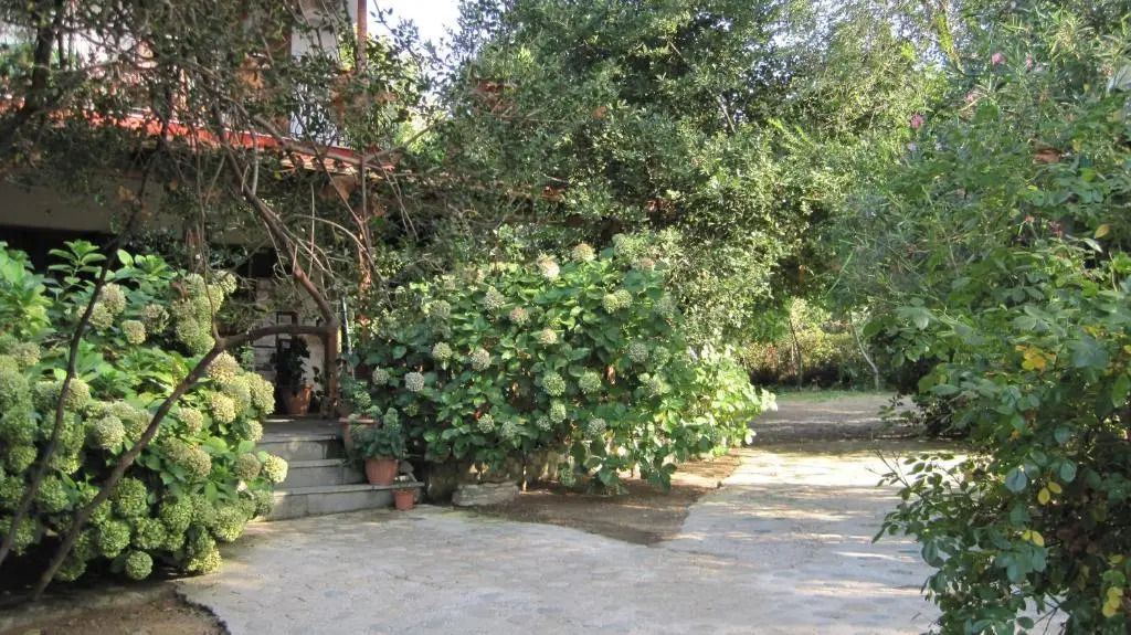Akamatis Giorgos