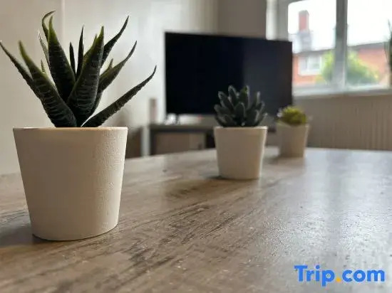 Spacious Central Apartment | Lace Market Sleeps 6